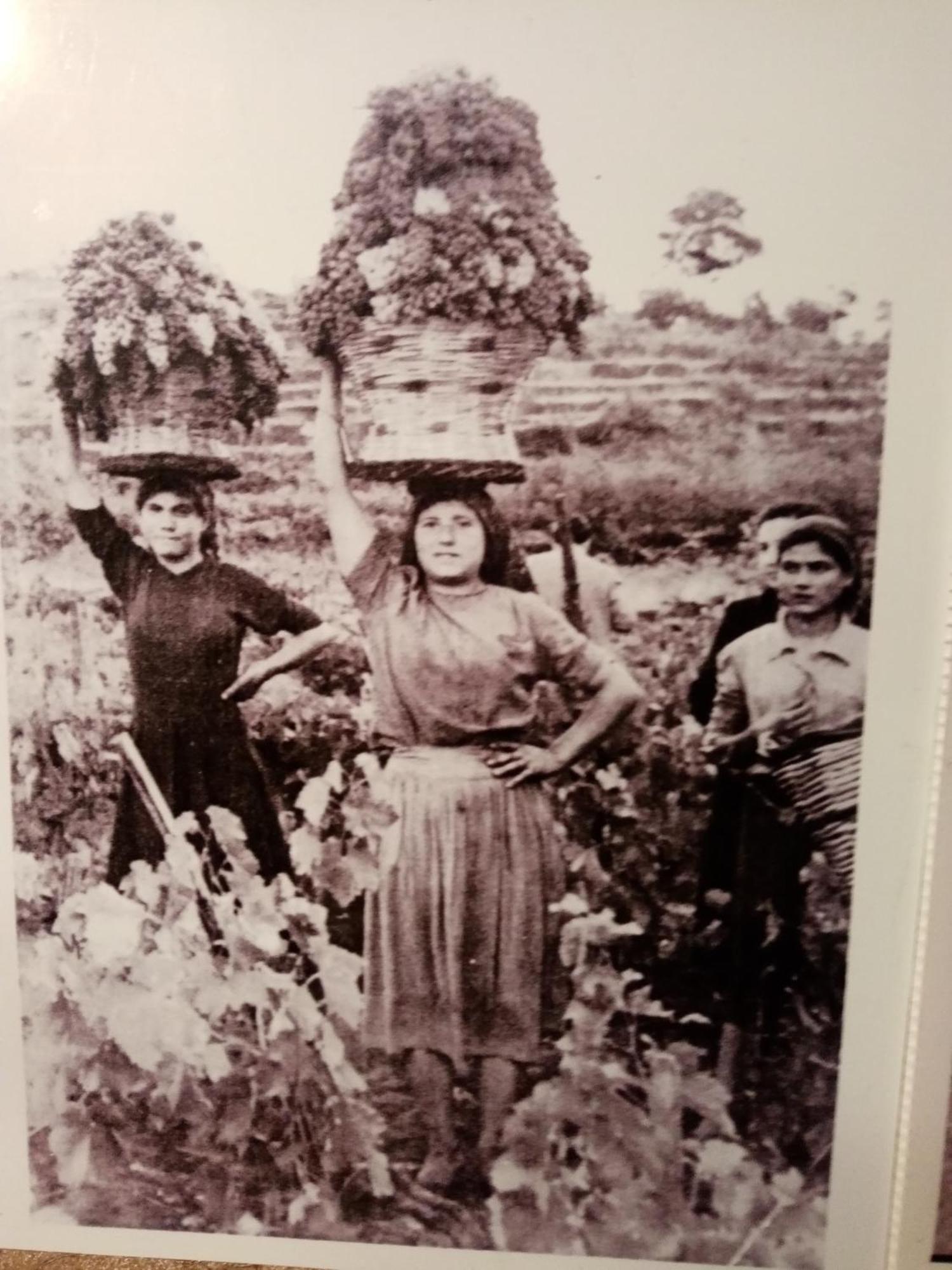 La Finestra Sull'Etna Villa Linguaglossa Bagian luar foto
